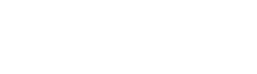 Metzeler