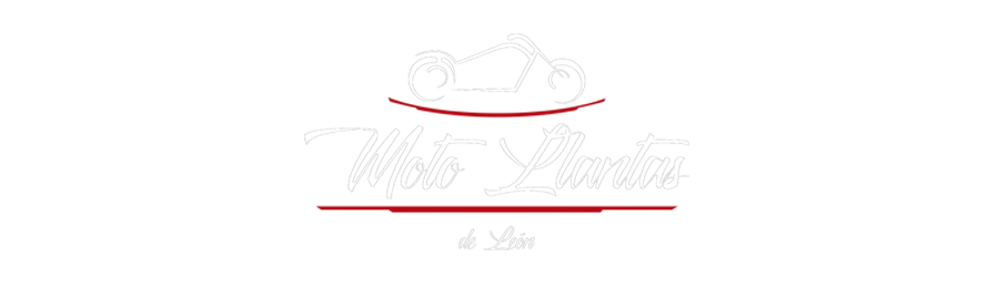 Moto Llantas de León